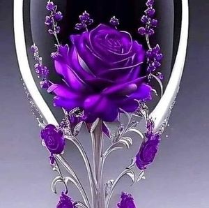 Meet your Posher, Lyn